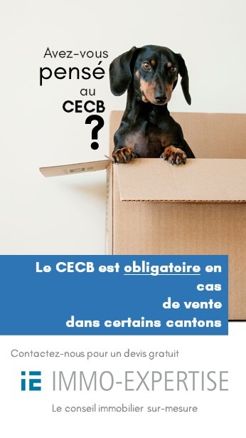 CECB